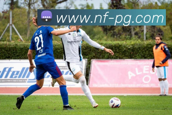 pg电子全站App pg电子全站App